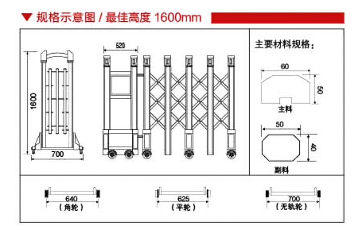 靓丽七号51.png