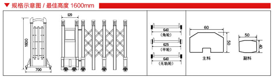 靓丽九号55.png